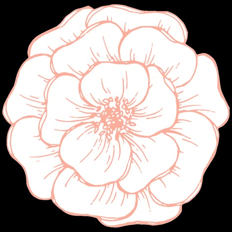 Flower Top View Drawing, Round Flower Drawing, Peony Design Drawing, Peonies Drawing Simple, Floral Embroidery Patterns Templates Flower Designs, Big Flower Drawing, Flower Sketches Simple, Peonies Sketch, Flower Outline Drawing