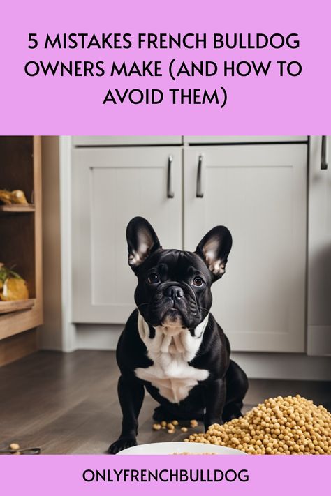 A French Bulldog sitting on the floor with spilled dog food, symbolizing common mistakes dog owners make. French Bulldog Training Tips, French Bulldog Must Haves, French Bulldog Puppy Care, French Bulldog Tips, French Bulldog Care Tips, French Bulldog Breeding, French Bulldog Rescue, Bulldog Training, Frenchie Mom