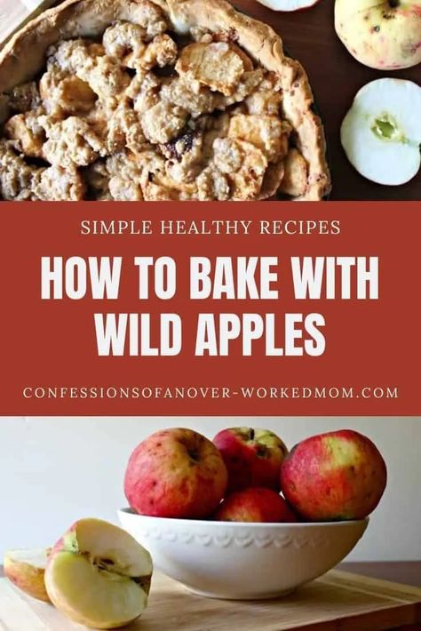 Are you baking with wild apples? Wild apples are a bit different than store-bought. Learn how to make your wild apple recipes come out perfectly. Wild Apple Recipes, Green Apple Pie Recipe, Green Apple Pie, Wild Recipes, Making Apple Pie, Food Foraging, Wild Food Foraging, Apple Pie Recipe, Homemade Apple Pies