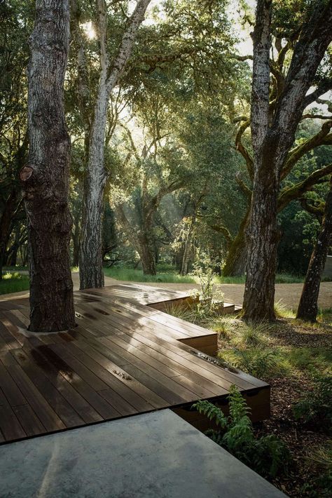 5 Favorites: Decks Built Around Trees - Gardenista Wooden Deck, Modern Landscape Design, Landscape Plans, Wooden Decks, Landscaping Tips, Back Gardens, Modern Landscaping, Landscape Projects, Desert Landscaping