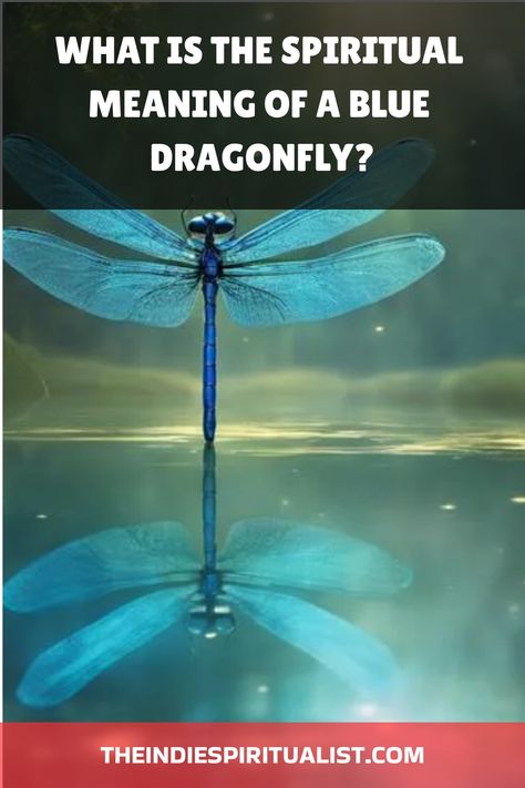 Know the 6 mystical meanings of encountering a blue dragonfly and unlock secrets to your spiritual journey and transformation. Blue Dragonfly Meaning, Dragonfly Meaning Spiritual, Dragonfly Life Cycle, Dragonfly Meaning, Meaning Of Blue, Spiritual Dimensions, Blue Dragonfly, Animal Symbolism, Spiritual Experience