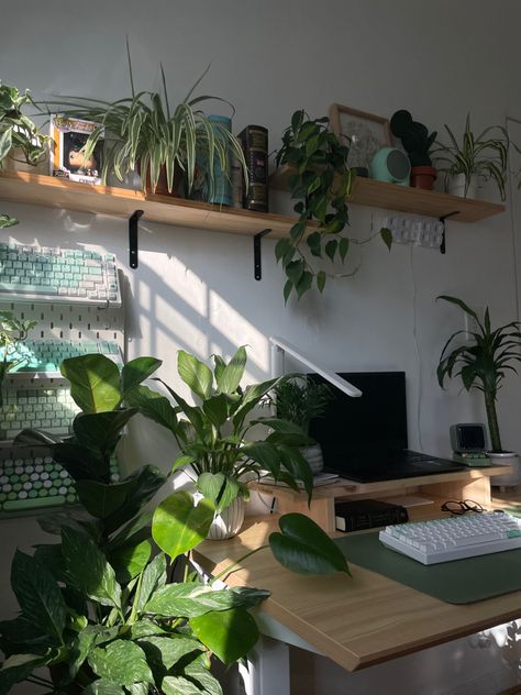 Rising Desk Decor, Plant Desk Aesthetic, Desk Setup Student, Plants Desk Setup, Plant Desk, Desk Green Aesthetic, Wood Desk Aesthetic, Desk Plants Aesthetic, Aesthetic Desk Setup Green