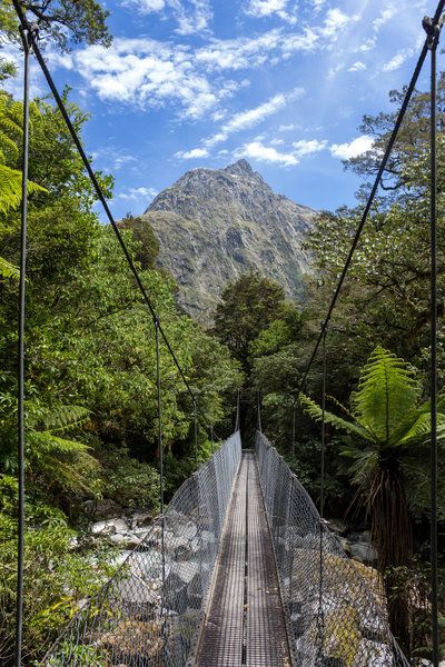 Te Anau, Huka Falls New Zealand, Te Anau New Zealand, Oahu Waterfall Hikes, New Zealand South Island Hikes, Milford Track, Hiking New Zealand, New Zealand Tourist Attractions, Life List