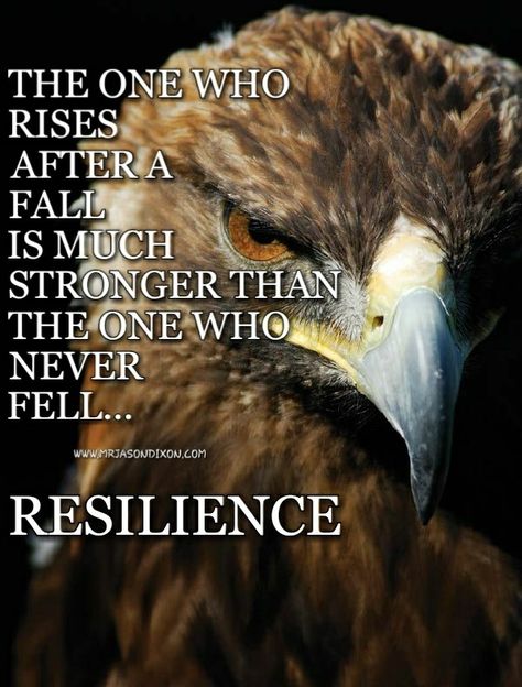 Keep moving forward. Never quit...👊🏾 Eagle Quotes Strength, Hawk Quotes, Eagle Quotes, Eagles Quotes, Believe In Yourself Quotes, Bird Quotes, Quotes Christian, Eagles Wings, Never Quit