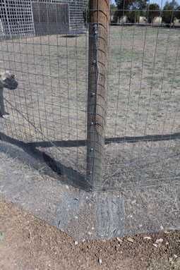 Snake Fence, Uredenje Dvorista, Oregon Landscaping, Dog Proof Fence, Snake Repellant, Snake Repellent, Yard Remodel, Dog Yard, Chicken Houses