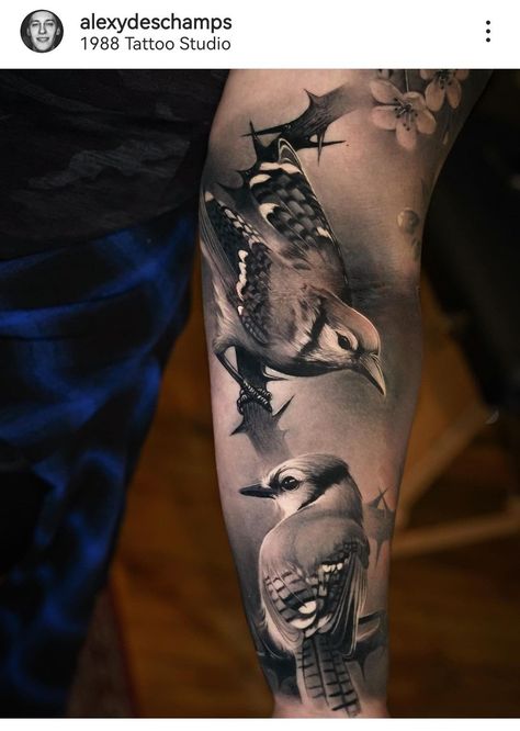 Tattoo Realism Design, Realism Bird Tattoo, Realism Tattoo Sleeve Women, Sleeve Tattoos For Guys Forearm, Realism Sleeve, Realistic Bird Tattoo, Blue Jay Tattoo, Jay Tattoo, Bird Tattoo Design