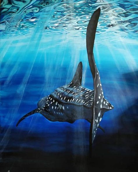 Shark Top View, Shark Painting, View Painting, Shark Pictures, Underwater Painting, Whale Sharks, Underwater Art, Whale Art, Manta Ray