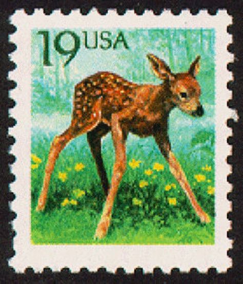 Deer Stamp, Postage Stamp Design, Deer Fawn, Glassine Envelopes, Postage Stamp Art, Vintage Postage Stamps, Vintage Postage, Post Stamp, Postal Stamps