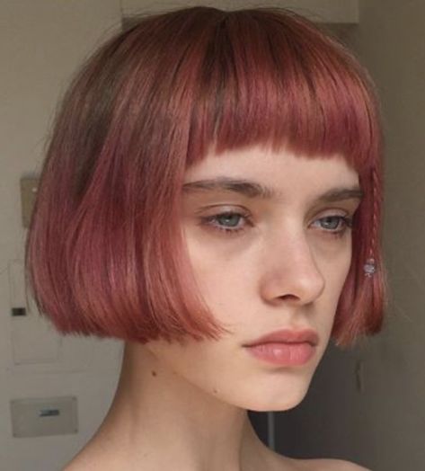 Pink French Bob, Red French Bob, Lip Length Bob, Pretty Hair Cuts, Pink Bob, Growing Out Hair, Cute Hairstyles For School, French Bob, Peinados Recogidos