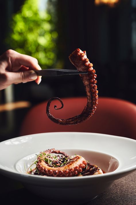 Octopus Food Photography, Seafood Photoshoot, Seafood Photography, Roasted Octopus, Squid Recipes, Elegant Food, Restaurant Photography, Restaurant Photos, Food Drink Photography