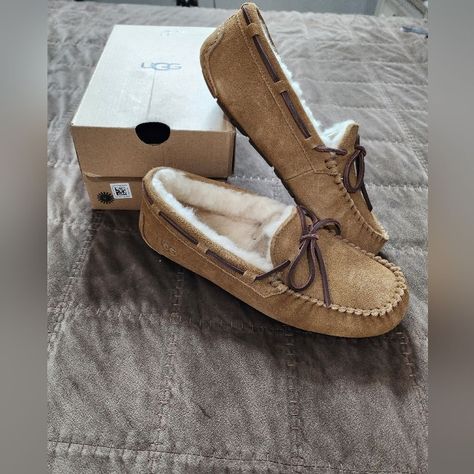 New In Box Size 7 Womens No Flaws Uggs Moccasins, Ugg Dakota, Womens Uggs, Ugg Shoes, Chestnut, Moccasins, Size 7, Women Shoes, Women Shopping