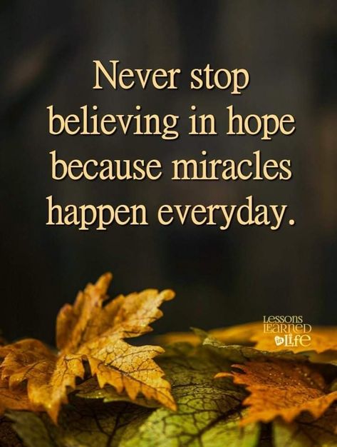 Miracles Happen Everyday, Happy Saturday Quotes, P Quotes, Bible Sayings, Never Stop Believing, I Thought Of You Today, Miracle Quotes, Salvation Prayer, Saturday Quotes