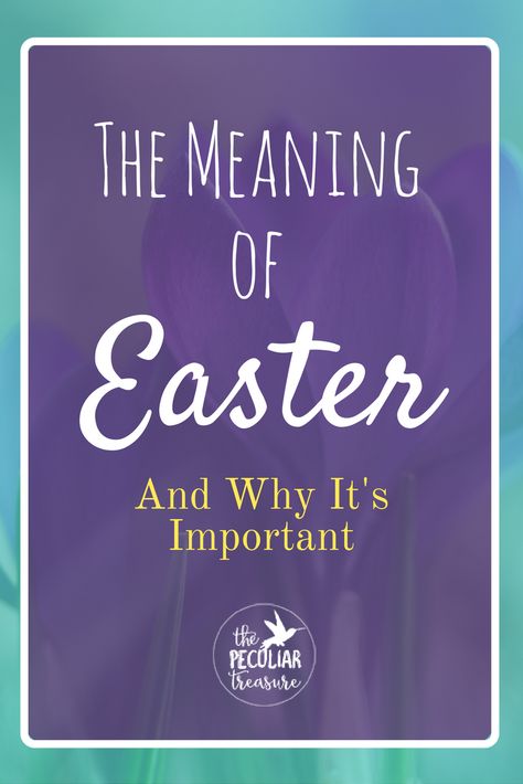 The real meaning of Easter is much more complex and important that marshmallow peeps and bunnies. Find out why at The Peculiar Treasure. Easter Meaning, The Meaning Of Easter, Short Devotions, Philippians 1 21, Easter Devotions, Acts 1, Marshmallow Peeps, Prayer Closet, Christian Traditions