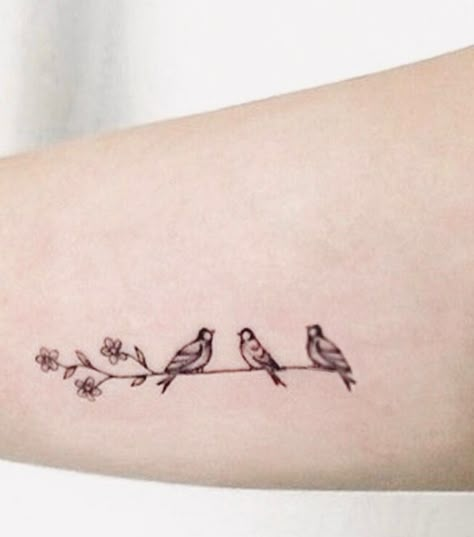 Sibling Bird Tattoos For 3, Bird Sibling Tattoo, 3 Birds On A Branch Tattoo, 3 Birds Tattoo Family, Birds On A Line Tattoo, Bird Family Tattoos For Women, 3 Birds On A Wire Tattoo, Three Birds Tattoo Simple, Cute Bird Tattoos For Women