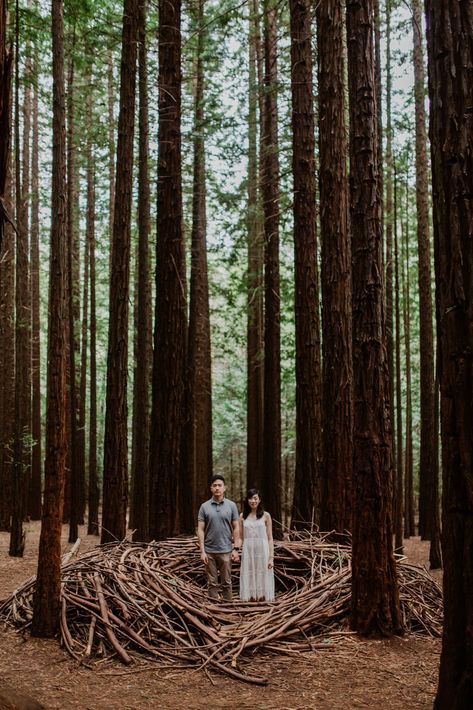 Marvelous Redwood Forest Wedding Anniversary in Warburton Melbourne Australia by fire, wood & earth - 033 Forest Wedding Australia, Redwood Forest Wedding, Forest Engagement Photos, Forest Engagement, Wedding Anniversary Celebration, First Wedding Anniversary, Redwood Forest, Tall Trees, Bali Wedding