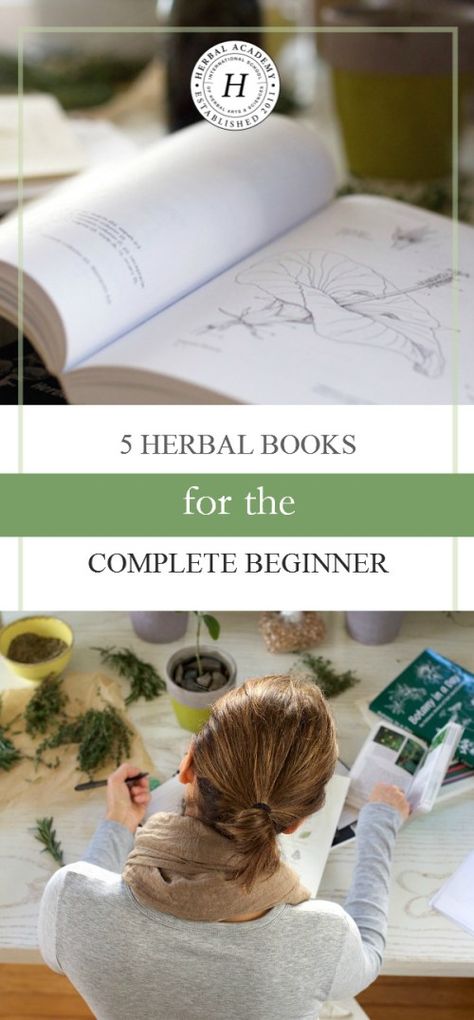 Herbal Books, Pineapple Health Benefits, Herbal Academy, Books For Beginners, Herbal Education, Kitchen Witchery, Herbal Apothecary, Natural Healing Remedies, Cold Home Remedies