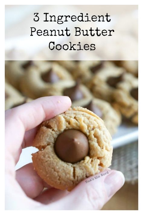 Three Ingredient Peanut Butter Cookies, The Best Peanut Butter Cookies, 3 Ingredient Peanut Butter Cookies, 3 Ingredient Recipe, Peanut Butter Recipe, Peanut Butter Kiss, Peanut Butter Kiss Cookies, Amazing Cookie Recipes, 3 Ingredient Cookies