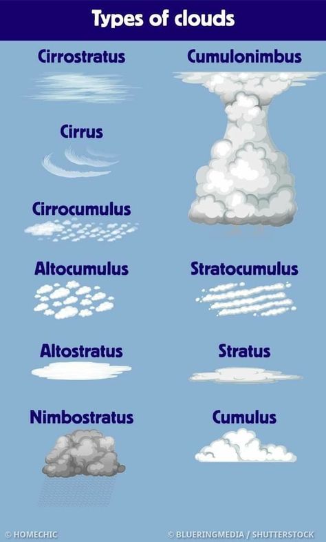 Cloud Classification, Cloud Types, Kinds Of Clouds, Types Of Clouds, Cloud Names, Cloud Activities, Cloud Type, White Tigers, Type Posters