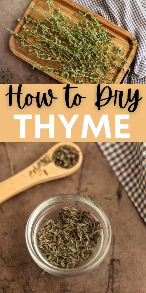 If you are wandering How to Dry Thyme these steps will take your fresh thyme to dry thyme easily. Dry thyme is easy to store in your pantry. Learn how to dry thyme in the oven. I love growing fresh herbs and drying thyme leaves is a great way to save and use fresh thyme. #eatingonadime #kitchentips #dryingherbs #thyme Drying Thyme, Fresh Parsley Recipes, Thyme Seasoning, Store Fresh Herbs, Drying Fresh Herbs, Cooking With Fresh Herbs, Thyme Herb, Parsley Recipes, Eating On A Dime