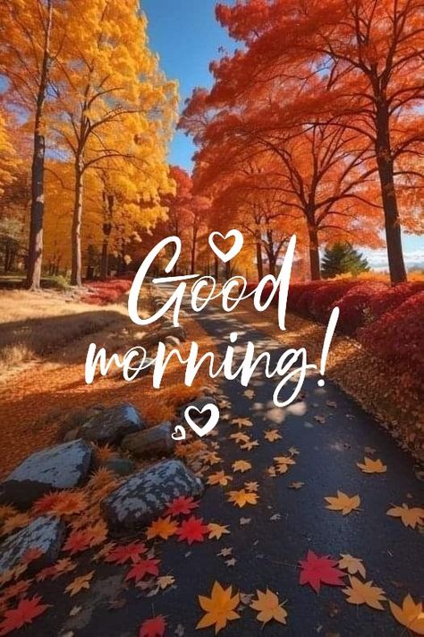 Good Morning 🍂🍁 Good Morning Fall Images, Good Morning Fall, Good Morning Meme, In Loving Memory Quotes, Good Monday Morning, Fall Pics, Flowers Quotes, Happy Morning Quotes, Good Morning Nature