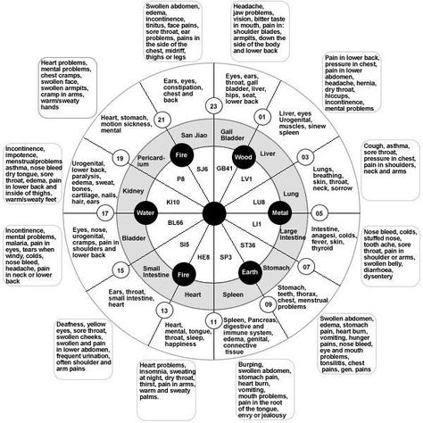 Traditional Chinese Organ Body Clock - Forever Conscious Chinese Body Clock, Chinese Clock, Meridian Energy, Body Clock, Energy Therapy, Channeling Energy, Muscular System, Shiatsu Massage, Energy Medicine