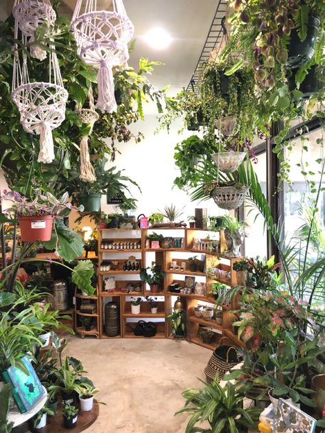 Would you pair a plant and an essential oil with a new book purchase? Yes, please. Plant Store Aesthetic, Store Aesthetic, Plant Store, Book Cafe, Den Bosch, Pretty Plants, Plant Shelves, Plant Nursery, Yes Please