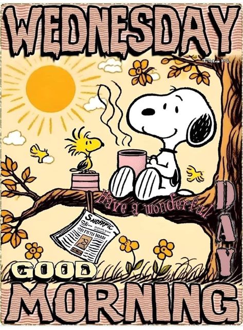 Wednesday Morning Greetings, Wednesday Greetings, Good Morning Snoopy, Happy Day Quotes, Good Morning Wednesday, Good Morning Greeting Cards, Snoopy Funny, Funny Cartoon Pictures, Snoopy Images