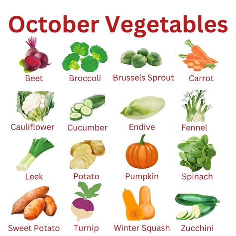 October vegetables Recipes With Pomegranate, Recipes With Cauliflower, Spicy Pumpkin Soup Recipe, Recipes With Broccoli, Recipes With Avocado, Recipes With Spinach, Recipes With Pumpkin, Spicy Pumpkin Soup, Kale Soup Recipes