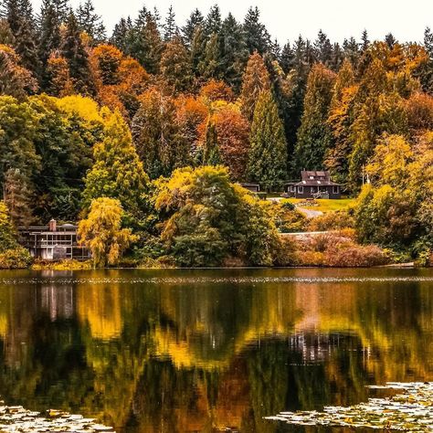 Vancouver• BC•🇨🇦 on Instagram: “🍃🍁I always see Autumn as Mother Nature teaching us how to let things go... 🍁 Took this shot last September. Hope you all enjoy it.…” Deer Lake Park Burnaby, Burnaby British Columbia, Vancouver Autumn, Burnaby Canada, Hart House, Canada Road Trip, Live Cricket, Stock Quotes, Lake Park