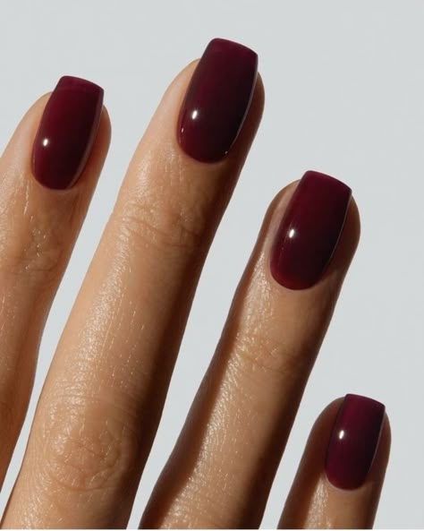 Reminder: You've probably got a week before everything gets too busy to get your Christmas nails done. Here's some inspo 👉⁣ ⁣ #nailinspo #nails #christmasnails Maroon Simple Nails, Fall Nails Burgundy Oval, Burgundy Nails Coffin Short, Sofisticated Nail Designs, Maroon Square Acrylic Nails, Burgundy Nails Short Square, Cranberry Nails Designs, Merlot Nail Color, Burgundy Nails Fall