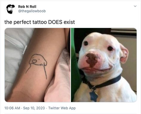 “The Perfect Tattoo Doesn’t Exi–” (17 “Perfect” Tattoos) 9gag Funny, Funny Dog Memes, Dog Tattoo, Memes Humor, Dog Memes, A Tattoo, What’s Going On, Animal Memes, Tattoo On