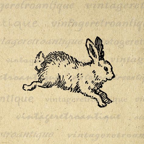 Hase Tattoos, Bunny Printable, Rabbit Vintage, Cute Bunny Rabbit, Bunny Images, Totem Animal, Vintage Clip Art, Bunny Tattoos, Rabbit Tattoos