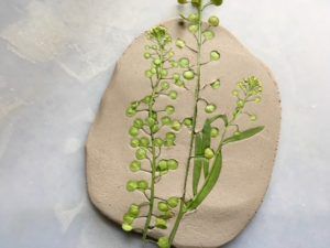 Nature Craft - Perfect for Earth Day Activity - Clay Imprints with Plants and Flowers - My Bright Ideas Botanical Impressions In Clay, Clay Imprints, Clay Impressions, Fellowship Ideas, Earth Day Activity, Forest Crafts, Camping Forest, Twig Crafts, Earth Day Projects