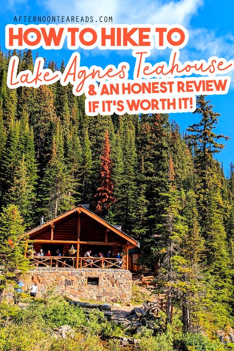 a view of the tea house among the tall trees and blue skies. A small log cabin with people sitting on the covered front porch Lake Agnes Tea House, Lake Louise Canada, Jasper Park, Lake Agnes, Canadian Road Trip, Chateau Lake Louise, Tea Reading, Lake Louise, Canadian Rockies