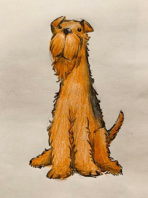 Black And Tan Terrier, Artsy Pics, Airedale Dogs, Welsh Terrier, Irish Terrier, Event Room, Artsy Pictures, Airedale Terrier, Terrier Dogs