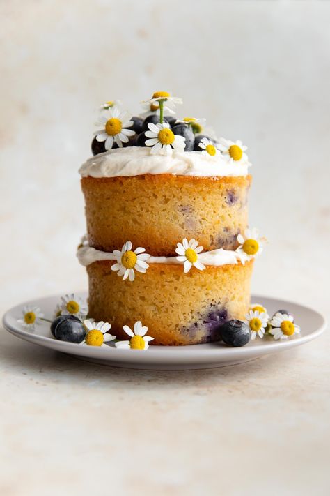 lemon blueberry cake - the palatable life Mini Carrot Cakes, The Palatable Life, Palatable Life, Impressive Cakes, Mini Carrot Cake, Lemon Blueberry Cake, Carrot Cakes, Spring Dessert, Mini Carrots