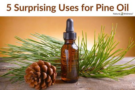 5 Surprising Uses for Pine Oil Natural Cleaners Diy, Oils For Energy, Pine Oil, Pine Essential Oil, Essential Oils For Colds, Natural Cleaners, Herbal Oil, Oil Benefits, Best Essential Oils