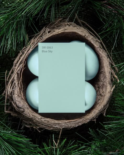 Sherwin-Williams Blue Sky SW0063 – Off The Wall Stories Robins Egg Blue Paint, Sherwin Williams Blue, Haint Blue, Living Colors, Robin Blue, Favorite Paint Colors, Blue Paint Colors, Favorite Paint, Dark Interiors