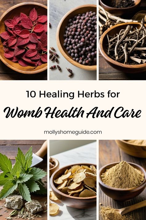 Hormone Balancing Herbs For Women, Herbs For Ovarian Health, Herbs For Menstrual Cycle, Herbs For Womb, Womb Health, Herbalist Shop, Medicine Recipes, Learning Herbs, Herbal Academy