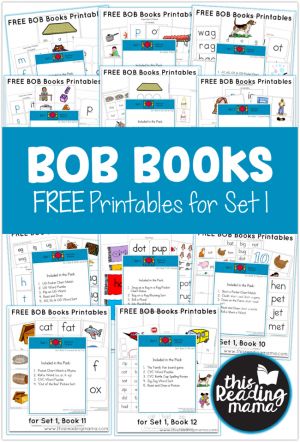 Bob Books Set 1, Book Worksheet, Book Printables, Reading Printables, Bob Books, Decodable Books, Beginning Reading, Phonics Reading, Teaching Phonics