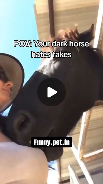 Funny Horses Videos Hilarious, Cute Horse Videos, Funny Horses Videos, Horse Fails, Equestrian Funny, Horses Videos, Horses Funny, Horse Video, Horse Humor