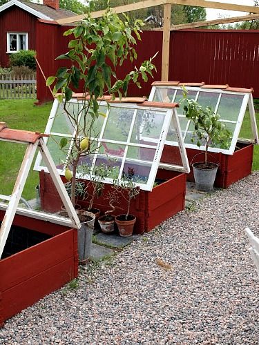 Small Greenhouses, Outdoor Window Decor, Salvaged Windows, Window Greenhouse, Outdoor Greenhouse, Backyard Greenhouse, Small Greenhouse, Greenhouse Plans, Mini Greenhouse