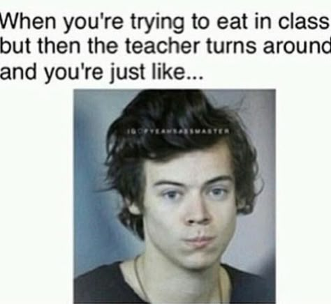 Harry Styles Memes, 1d Funny, Harry Styles Funny, Direction Quotes, One Direction Quotes, One Direction Photos, One Direction Humor, One Direction Memes, One Direction Videos