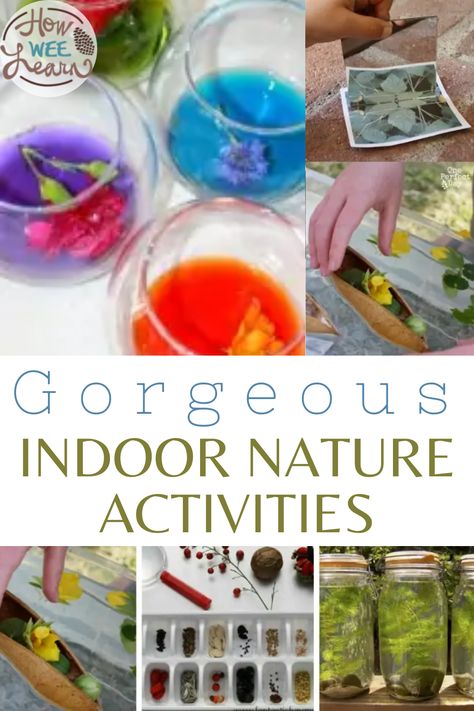 Pictures of items found in nature in various containers with the text "Gorgeous Indoor Nature Activities". Nature Club Activities, Pre K Nature Activities, Indoor Nature Activities, Nature Activities Preschool, Nature Activities For Kids, Indoor Nature, Grandma Camp, Nature Based Learning, Homeschooling Preschool