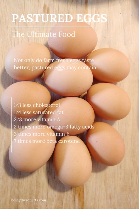 Pastured eggs are a healthy food choice and have better nutrition.  Get some farm fresh eggs. Homestead Food, Egg Nutrition, Egg Benefits, Pasture Raised Eggs, Hobby Farming, Farm Eggs, Building A Chicken Coop, Ketogenic Diet Plan, Farm Fresh Eggs