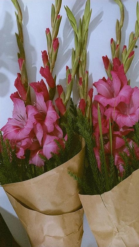 Gladiolus Flower Aesthetic Wallpaper, Gladiolus Flower Aesthetic, Iphone Board, August Aesthetic, Gladiolus Flower, Temple Bells, Gladioli, Flower Bucket, Nothing But Flowers