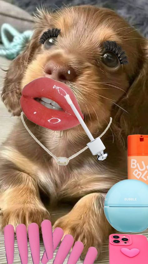 Baddie dog!! Comment any animal you want me to turn into a baddie!! #dog #slay #baddie #bubble #lips #eyelashes #animals Baddie Dog, Slay Baddie, Cute Text Quotes, Cute Texts, You Want Me, Cute Dogs, Funny Animals, Eyelashes, Bubbles