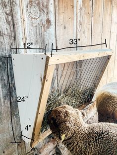 Sheep Feeder Diy, Simple Goat Playground, Hay Manger For Goats, Diy Horse Feeder Hay, Sheep Hay Feeder, Diy Goat Hay Feeder, Hay Feeder For Goats, Diy Hay Feeder, Sheep Feeders