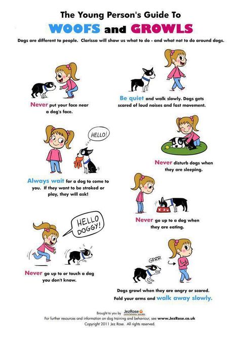 A young person's guide to woofs and growls Vet Nursing, Dog Body Language, National Pet Day, Dog Things, Akita Inu, Dog Information, Pictures Of Dogs, Dog Facts, Teaching Children