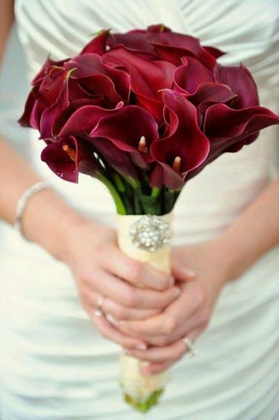 Burgundy Calla Lily, Red Bridal Bouquet, Calla Lily Bouquet Wedding, Calla Lily Wedding, Burgundy Bouquet, Calla Lily Bouquet, Red Bouquet Wedding, Red Wedding Flowers, Bridal Bouquet Fall